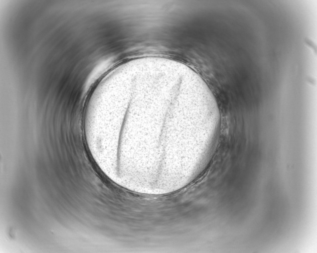 X0000093260004200710241342