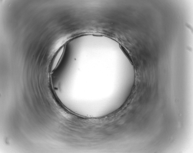 X0000093260005200710241342