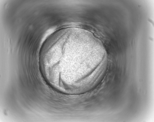 X0000093260006200710241342