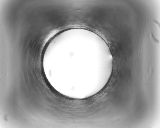 X0000093260008200710241342