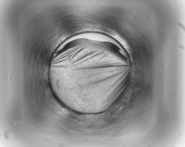 X0000093260009200710241342