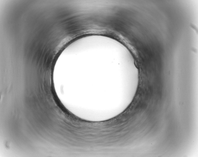 X0000093260011200710241342