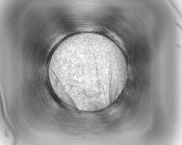 X0000093260012200710241342