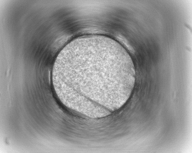 X0000093260014200710241342