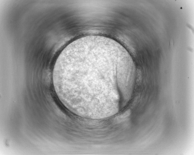 X0000093260016200710241342