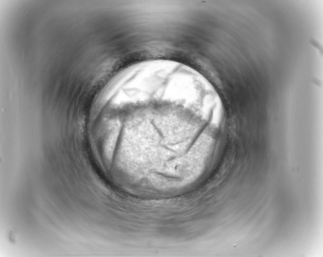 X0000093260018200710241342