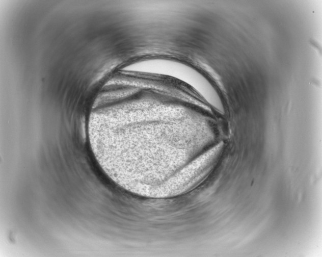 X0000093260020200710241342