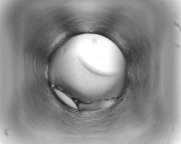 X0000093260023200710241342