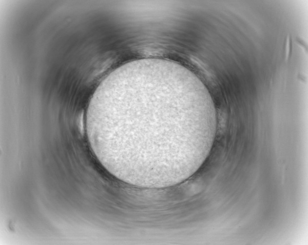 X0000093260028200710241342