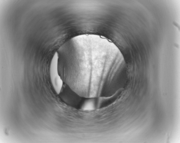 X0000093260029200710241342