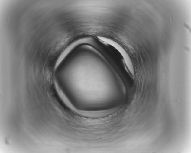 X0000093260031200710241342