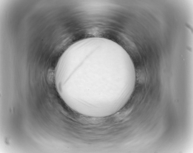 X0000093260036200710241342