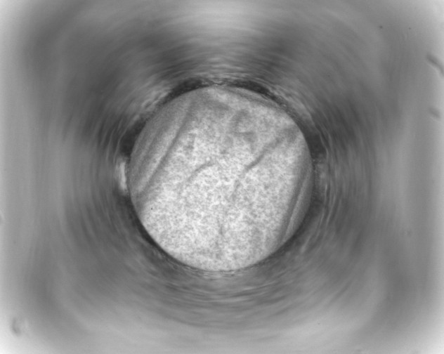 X0000093260042200710241341