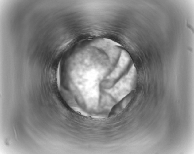 X0000093260043200710241341