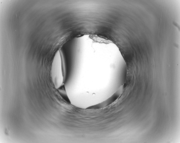 X0000093260045200710241341
