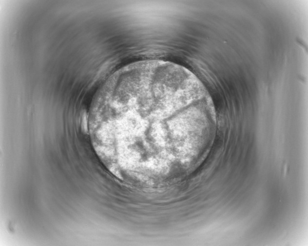 X0000093260046200710241341