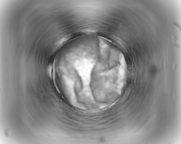 X0000093260047200710241341