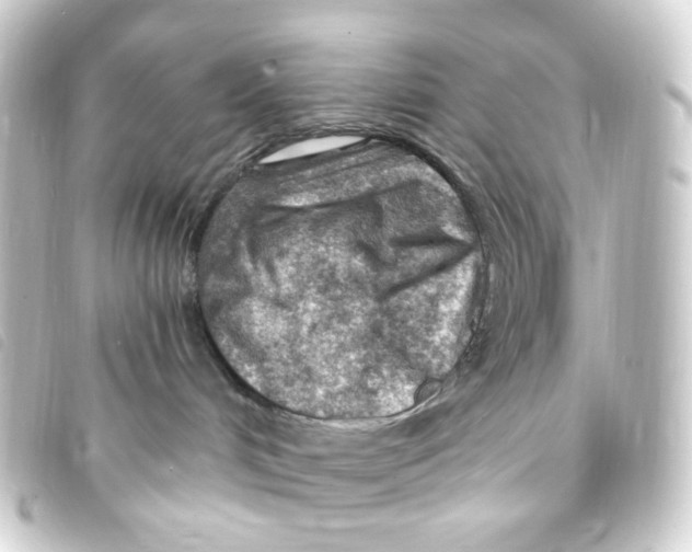 X0000093260048200710241341