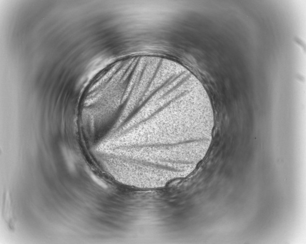 X0000093260050200710241341