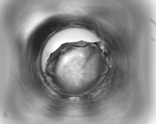 X0000093260052200710241341