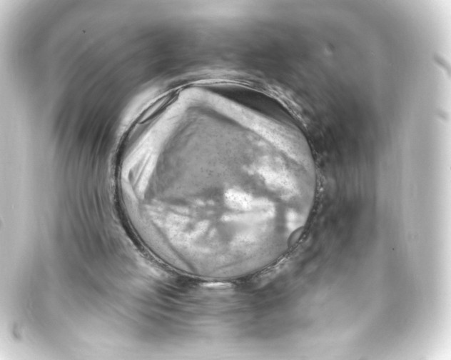 X0000093260053200710241341