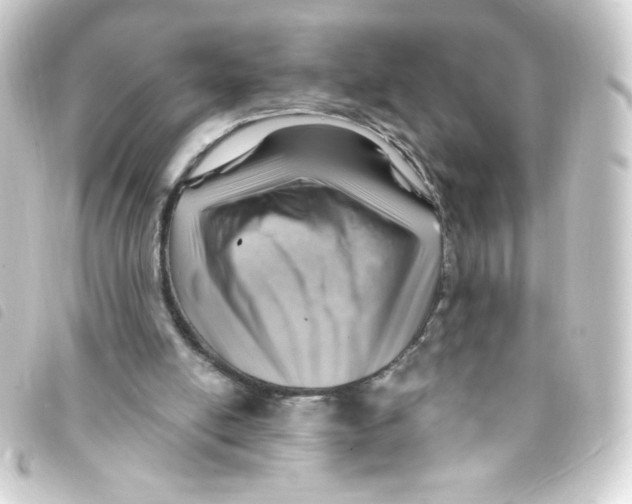 X0000093260054200710241341