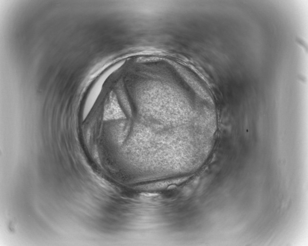 X0000093260055200710241341