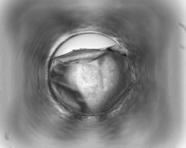 X0000093260056200710241341
