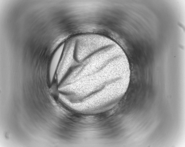 X0000093260058200710241341