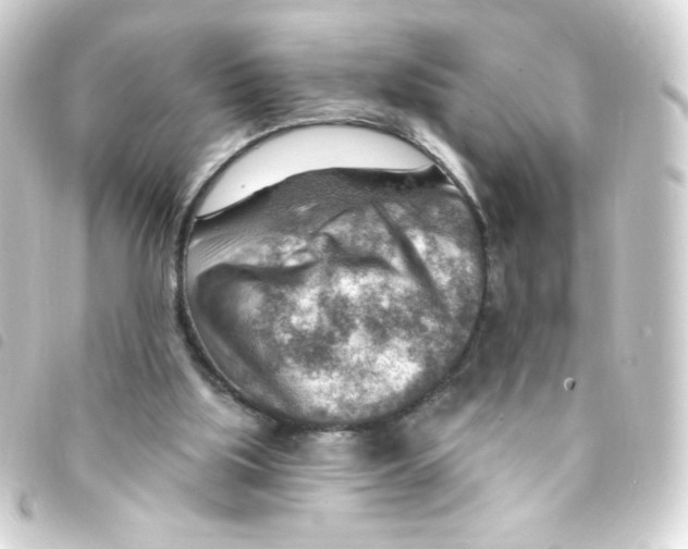 X0000093260059200710241341