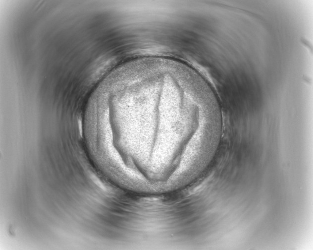 X0000093260061200710241341