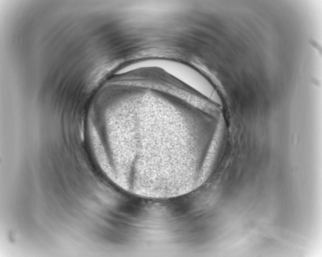 X0000093260062200710241341