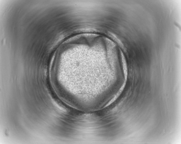 X0000093260063200710241341