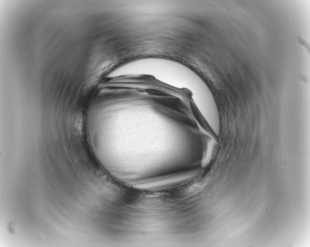 X0000093260072200710241341