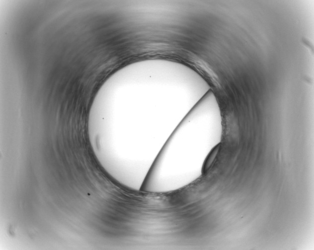 X0000093260073200710241341