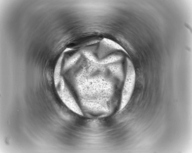 X0000093260074200710241341