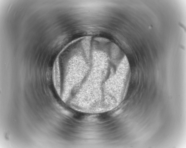 X0000093260078200710241341