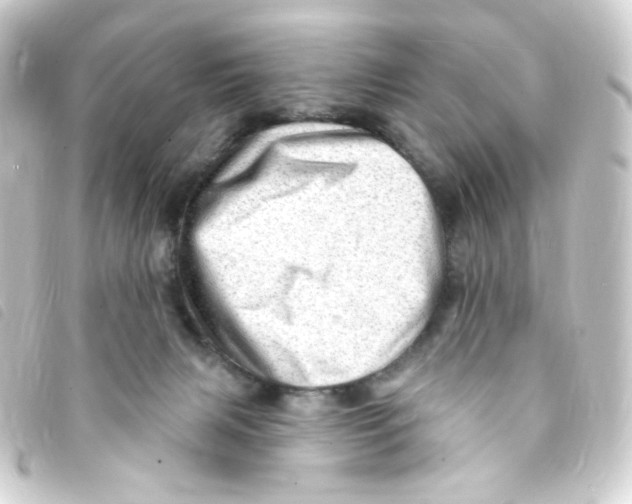 X0000093260079200710241341