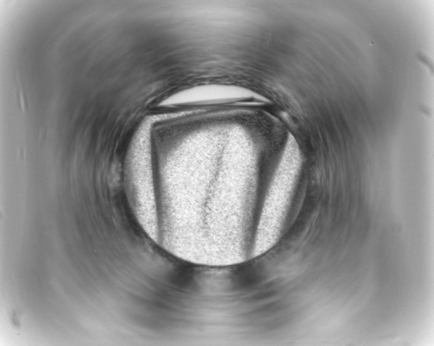 X0000093260081200710241341