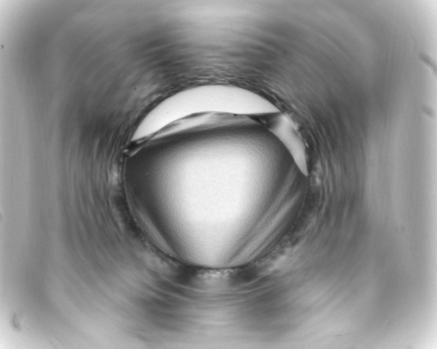X0000093260084200710241341