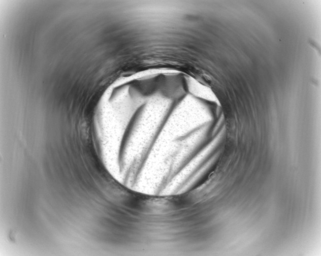 X0000093260086200710241341