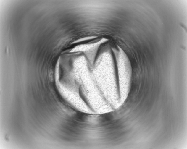 X0000093260090200710241341