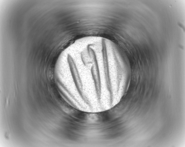 X0000093260091200710241341