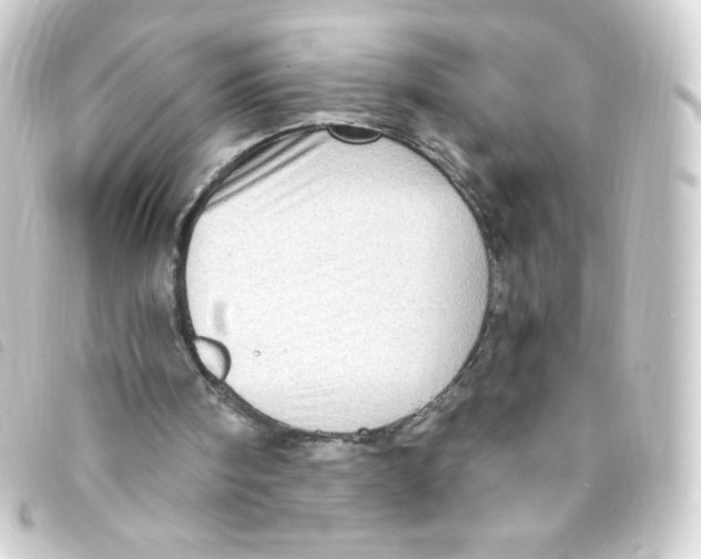 X0000093260098200710241341