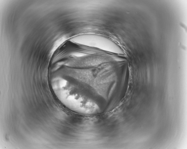X0000093260099200710241341