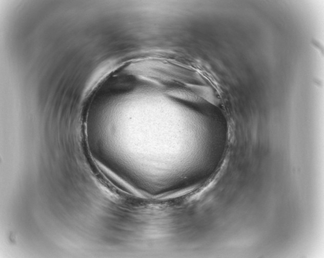 X0000093260101200710241341