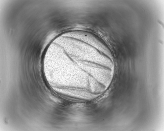 X0000093260102200710241341