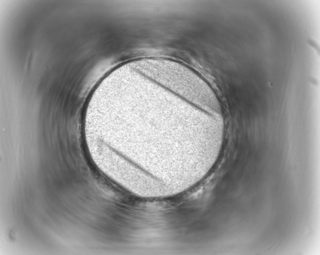 X0000093260103200710241341