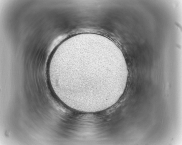 X0000093260104200710241341