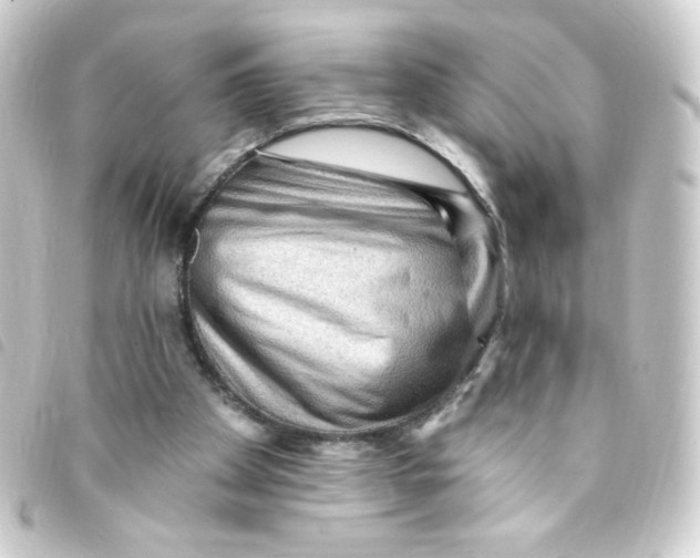 X0000093260105200710241341